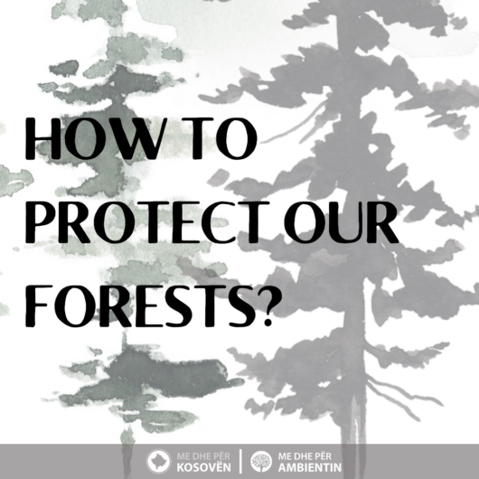 Kampanja Sensibilizuese “Si t’i mbrojmë pyjet tona?” (ENG: Awareness Campaign – How to protect our forests?)